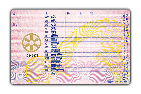Führerschein Scheckkartenmodell 2013
