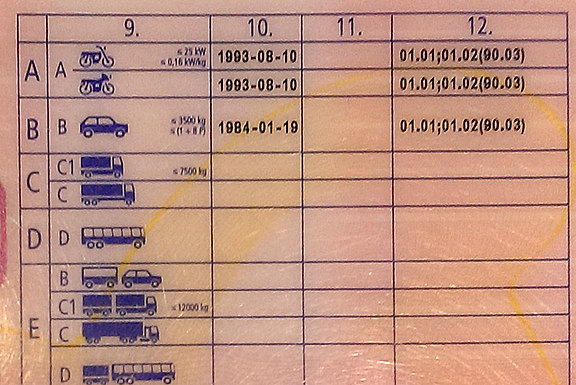 fuehrerschein-code-9003.jpg 