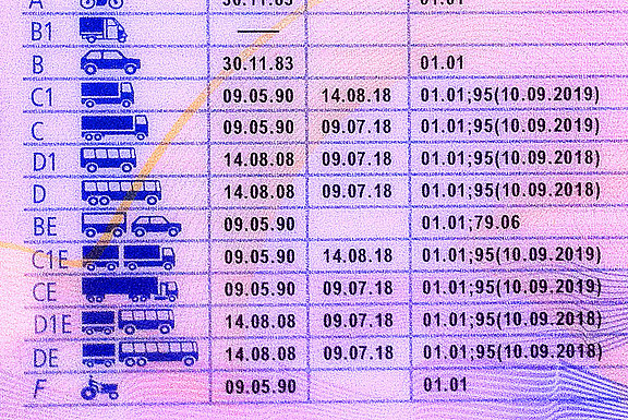 fuehrerschein-code-7906-95.jpg 